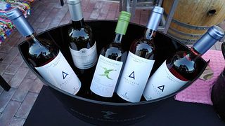 Dégustation de vins et visite du domaine Manolesakis