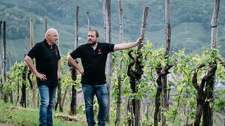 Azienda Agricola Follador Francesco