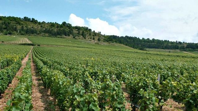 Domaine Debray