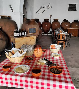 Talha Wine Tasting and Visit to Adega do Mestre Daniel - XXVI Talhas