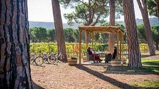 Degustação de vinhos com piquenique de bicicleta elétrica na Finca Villacreces