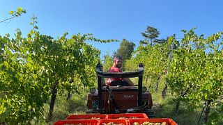 Una giornata con l'enologo: visita didattica e degustazione presso Podere Casa Piana