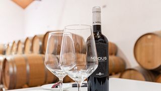 Bodegas Nodus
