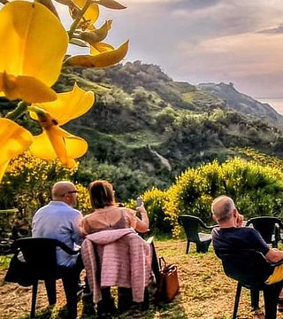 Sunset Vineyard Aperitif Experience