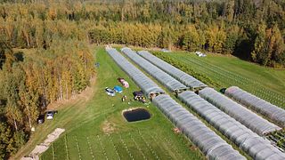 Veinimäe Winery