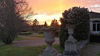 Bordeaux Winemaking & Tasting at Château de l'Estang