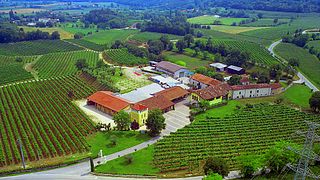 Cantina Ricchi: A Harmonious Blend of Tradition and Innovation
