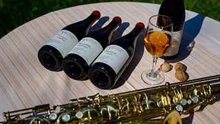 Weinprobe und Tour bei Chona's Marani