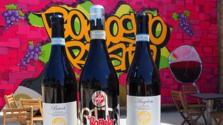 Degustação de vinhos e tour em Borgogno Rivata