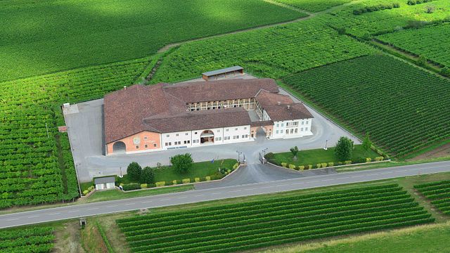 Expérience de dégustation de vin