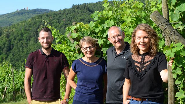 Degustazione e visita alla cantina del Domaine Saint Remy