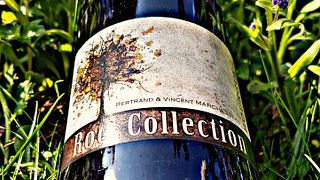 Bertrand & Vincent Marchesseau Winery