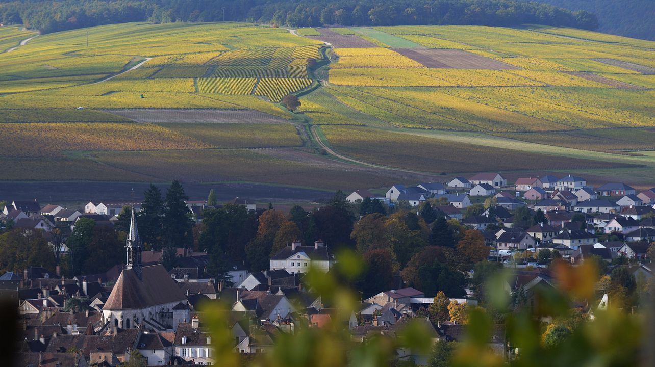 TOUR DE VINOS DE MEDIO DÍA EN CHABLIS