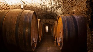 Private Tour und Weinprobe im Castello Della Paneretta