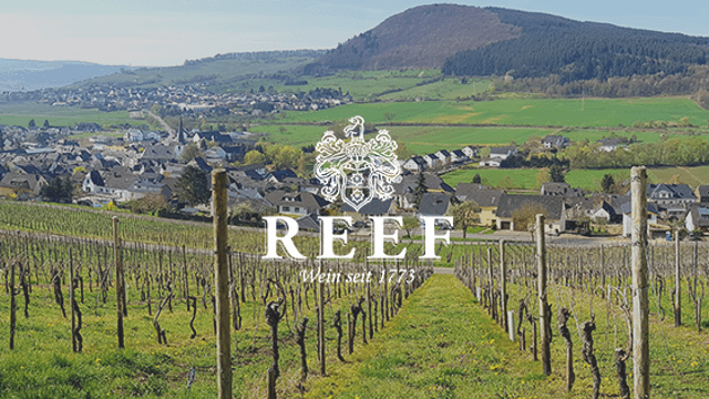 Degustazione di vini e tour a Weingut Reef
