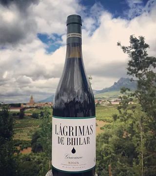 Bodegas Bhilar: A Boutique Winery in Rioja