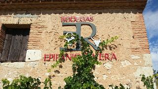Dégustation de vins et visite des caves Epifanio Rivera
