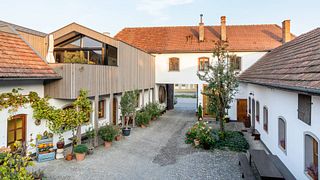 Dégustation de vins et visite au Weingut Alois Höllerer