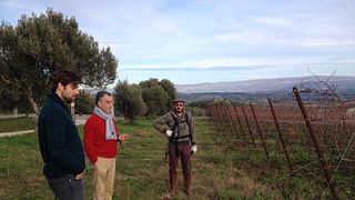 Dégustation de vins et visite à la Casa Comerci