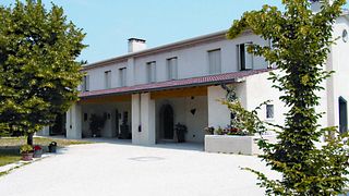 Cata de vinos y visita guiada en Furlan Vini