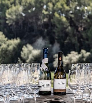Organic Catalonia: Vineyard Tour & Cava Tasting