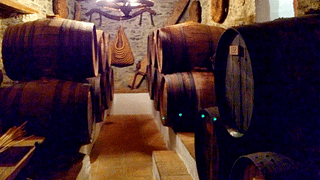 Tour in buggy e cantina