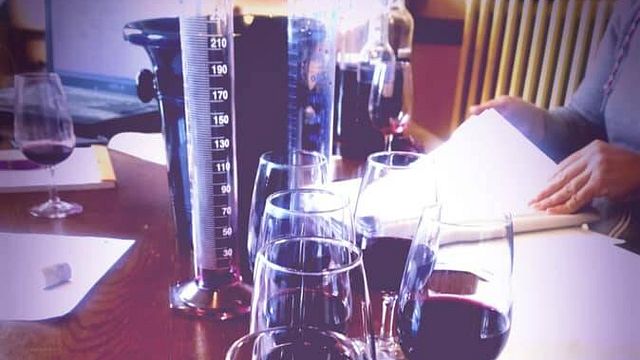 Dégustation de vins au Domaine De Maillac