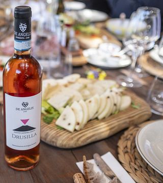 Dégustation de vins et visite du vignoble