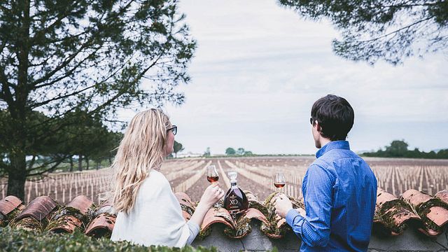 Cognac Bertrand: Vineyard Tour & Spirit Tasting