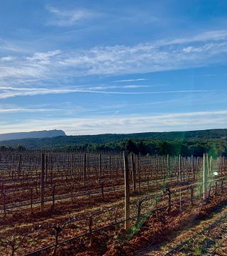 Wine tasting at Domaine De L'olibaou