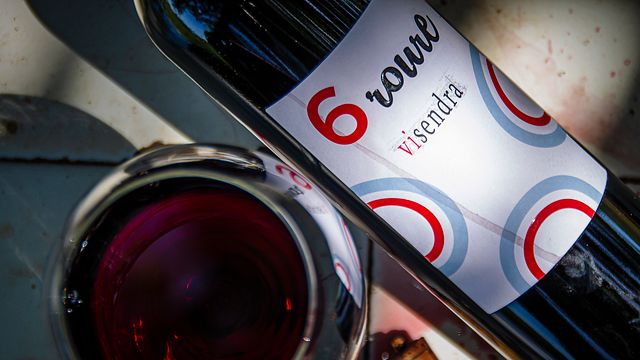 Cata de vinos en Bodegas Visendra