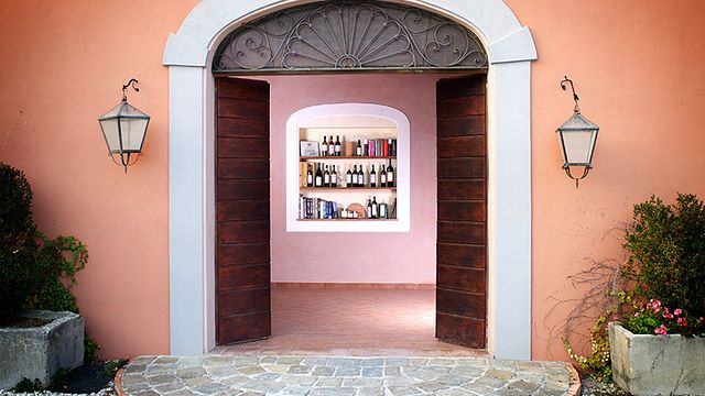 Degustación de matices de Verdicchio en Tenuta di Tavignano