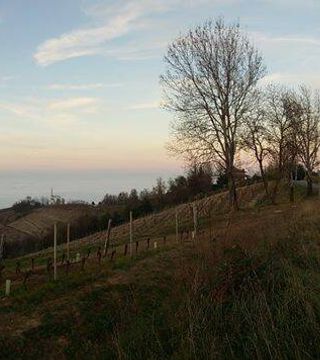 Weinprobe und Tour bei Isolabella Della Croce