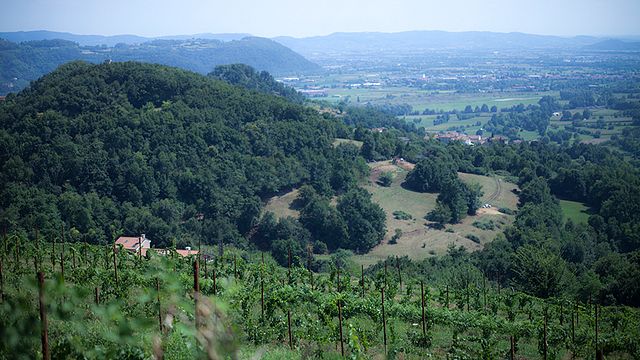 Dalle Ore Azienda Vitivinicola