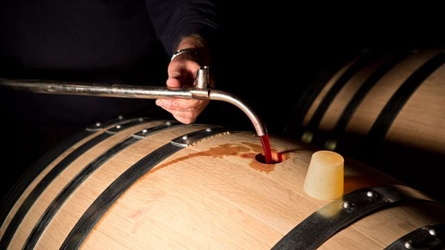 Burgundy Wine: Tasting with Gavignet