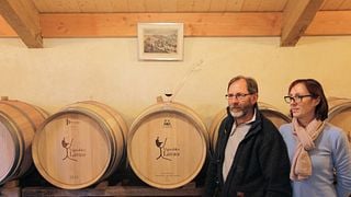 Vignobles Lavau
