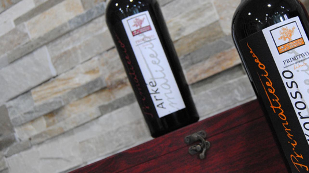 Dégustation de vins dans la cave Le Radici del Tempo