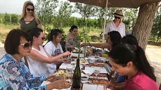 Konst- och vinupplevelse på Voskeni Wines