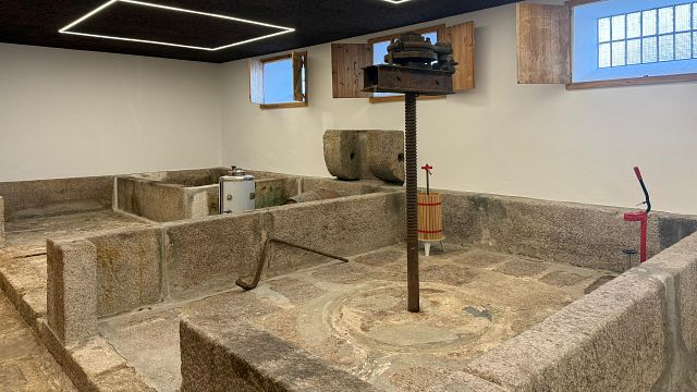 Visita e degustazione di vini al vigneto biologico Quinta dos Novais