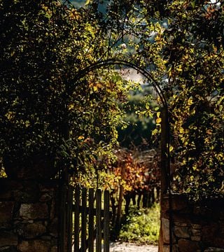 Wine tasting in the heart of the vineyards
