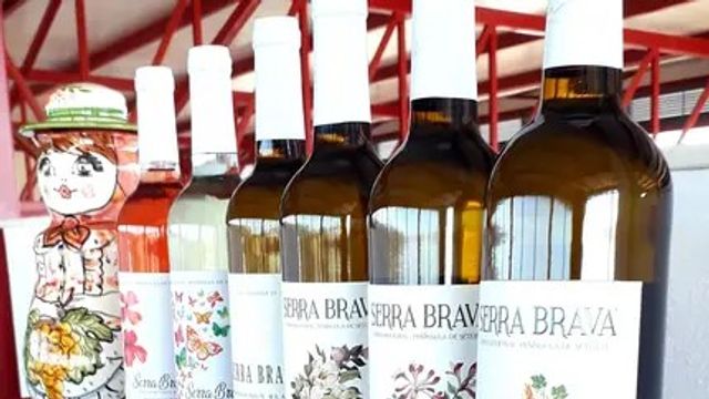 Dégustation de vins Serra Brava 3 vins et visite du canal Herdade Caveira