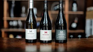 Wine Tasting and Tour at Château Montana