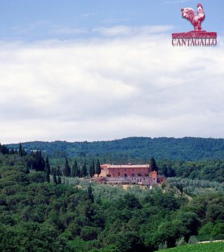 Cata de vinos y visita guiada a la bodega.