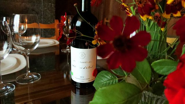 Degustação de vinhos e passeio em Khomlis Marani