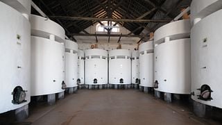 Prova de Terroir na Quinta Do Piloto