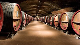 Horseback riding, visit and tasting at Château des Ravatys