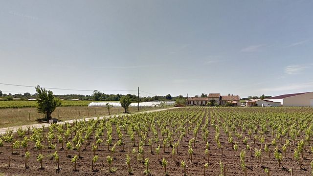 Dégustation et visite de vins au Château Vieux Landat