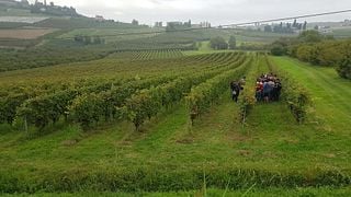 Cantina Di Nizza
