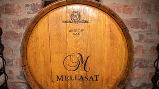 Degustazione di vini e visita ai vigneti Mellasat