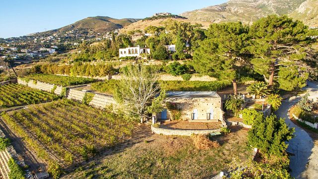 Central Greece Wine & History Tour at Montofoli